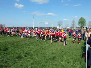 Kaiyun官方登录入口-青少年体育运动社会支持系统研究，青少年体育运动社会支持系统研究现状