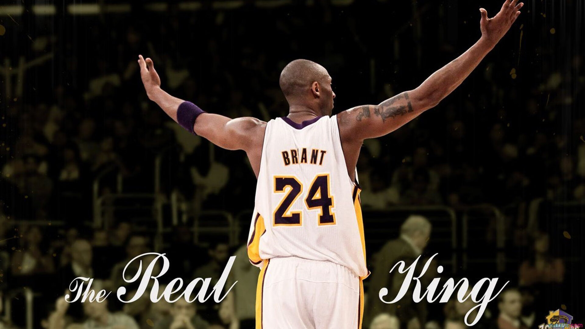 “球迷专属：你支持的球队最精彩瞬间投票”，球迷群体